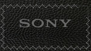 ps-vita-lock-screen-crocodile