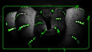 ps-vita-lock-screen-snake
